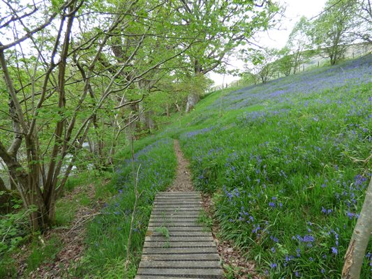 River Walk at Nannerth Country Holidays